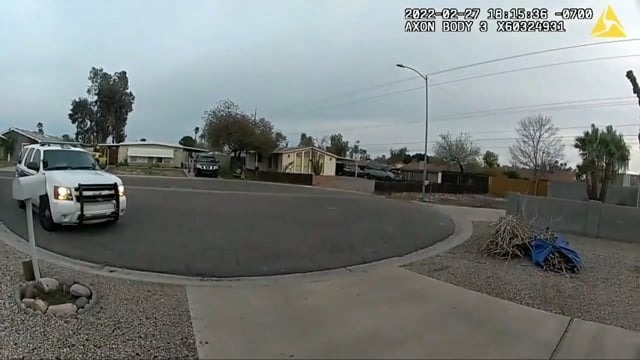 Controlling an Agressive Animal